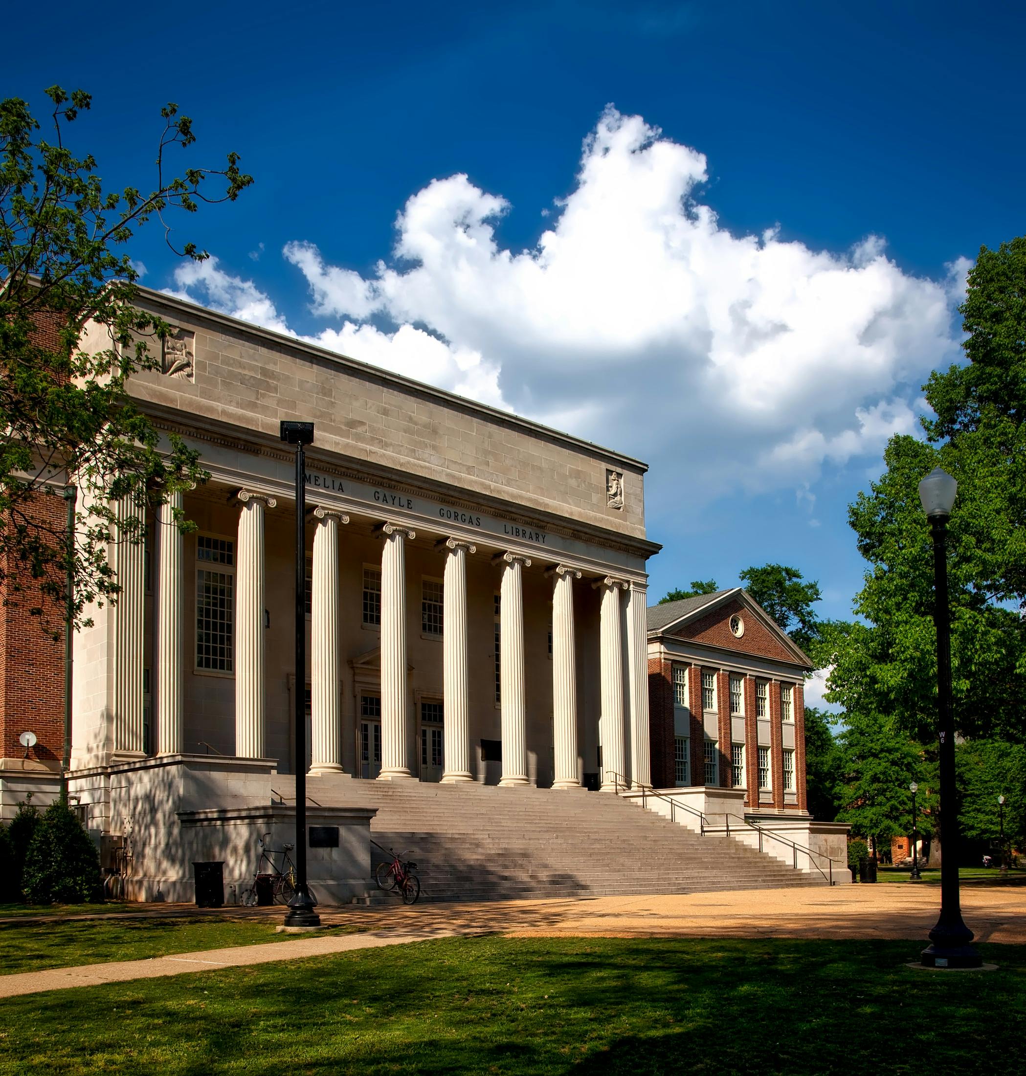 Magna Institute
